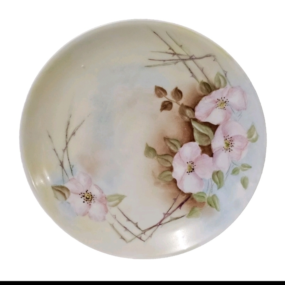 Collectible Vintage "Favorite" Hand Painted Porcelain Bavaria Floral  Plate